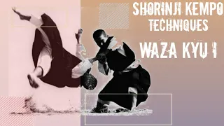 WAZA KYU I || SHORINJI KEMPO || TECHNIQUES 少林寺拳法