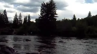 Fly Fishing on Blue River