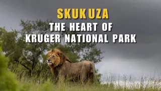 5 DAYS IN SKUKUZA – Exploring KRUGER NATIONAL PARK IN SUMMER | Ep.1