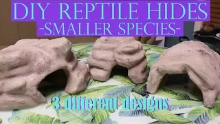 DIY REPTILE HIDES For Smaller Species | 3 Different Designs!