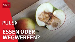 Stop Food Waste – der richtige Umgang mit der Haltbarkeit von Lebensmittel | Puls | SRF