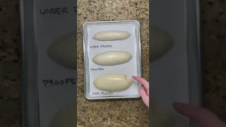 proofing bread