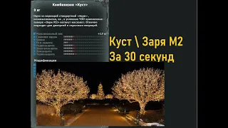 Обзор на Куст Заря М2 за 30 Секунд(Почти) (9вайп)|Mysterious Zone | STALKER RP