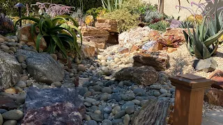 Gorgeous Succulent Garden Installation Follow Up in Carlsbad, Ca