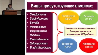 18.02.2017 - Мифы и правда о восстановлении микробиоты