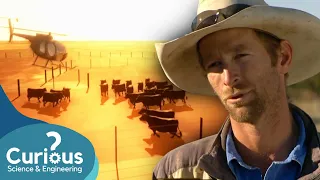 3000 Cattle Are Mustered | FULL EPISODE | Big Australia | Curious?: Science and Engineering