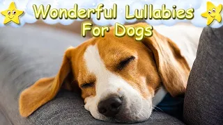 Super Relaxing Sleep Music For Beagle Puppies ♫ Calm Relax Your Pet ♥ Lullaby For Animals Dog Music