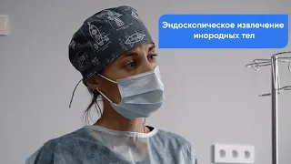 Что делать – кот или собака проглотила инородный предмет? Эндоскопическое извлечение инородных тел