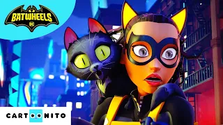 Batman's Puppies  | Batwheels |  Cartoonito  | Cartoons for Kids