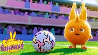 SUNNY BUNNIES - Football Star | World Cup 2022 🏆 | Season 3 | Cartoons for Kids