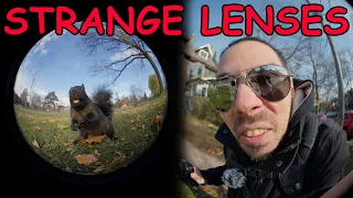 The Weirdest Lenses I've Ever Tried (Circular Fisheye Vlogging Battle)