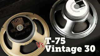 Celestion G12t-75 vs Vintage 30 shootout