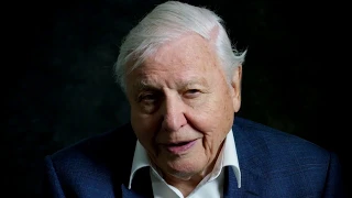 David Attenborough: A Life On Our Planet trailer