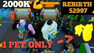 52997TH REBIRTH 2000K STRENGHT CASTLE ONLY FOR 2000 SUB STRONGMAN SIMULATOR ROBLOX