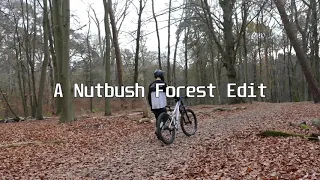 Nutbush Forest 2020 | Edit
