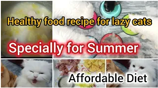 Best and healthy cat food recipe for lazy cats || Summer homemade cat food || Affordable diet