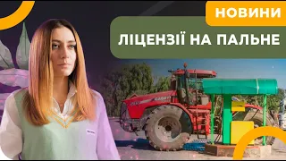 ЛІЦЕНЗІЇ НА ПАЛЬНЕ. ПОДАТКОВА Б'Є РЕКОРДИ