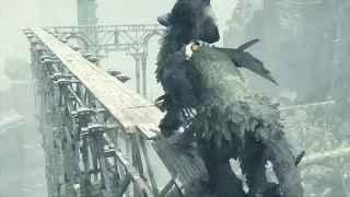 The Last Guardian GMV [ Together From Afar ]