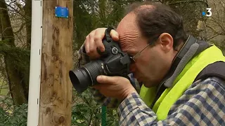 Polémique rallye du pays Avallonnais