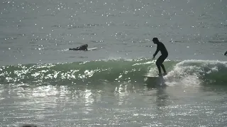 2 Surfers at Topanga Beach, CA