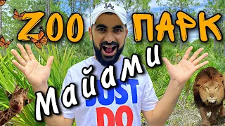 ЗООПАРК В МАЙАМИ.MIAMI METRO ZOO.Куда сходить с ребёнком в Майами?