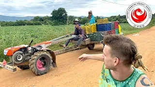 U Polaka na farmie w Kambodży