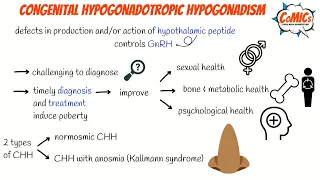 CoMICs Episode 46: Congenital Hypogonadotropic Hypogonadism
