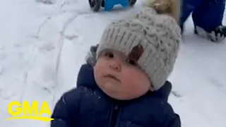 Infant is adorably unimpressed with his sledding experience l GMA