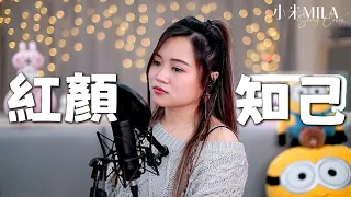 王峰 安靜 《紅顏知己》｜Song Cover｜小米MILA