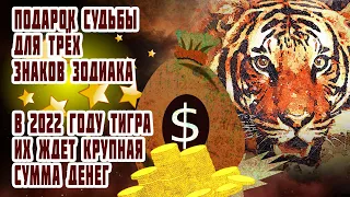 Трех знаков зодиака ждет подарок судьбы. Для них приготовлена крупная сумма денег в 2022 году Тигра