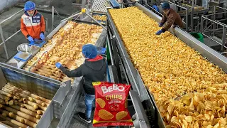 Factory Making of Potato Chips😱😱 इस तरह बनाए जाते हैं आलू के चिप्स😳😳 Indian Street Food | Hathras