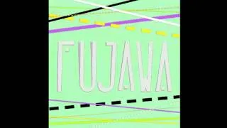 Fujawa - Hung Up Flow