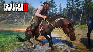 Chegou a vez do PURO SANGUE ÁRABE RAJADO - O Domador de Cavalos - Red Dead Redemption 2