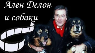 Ален Делон и собаки. Alain Delon and the dogs.