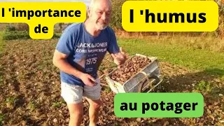 Quelle importance de l'humus dans votre potager