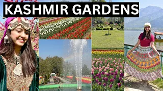 KASHMIR GARDENS AND SHANKARACHARYA Hills SHIVA TEMPLE