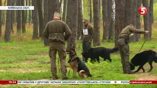 Шукають зброю, затримують злочинців… Як проходять змагання кінологів за першість на Київщині