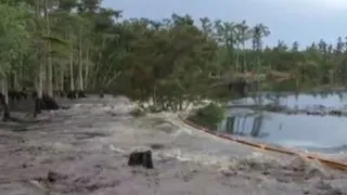 Louisiana Sinkhole Swallows Up Trees in Seconds