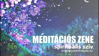 Meditációs zene - relax zene - Mandu & Visuddhi - Sri Chinmoy