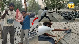 Road Se Sare Nayab pigeons paker liye🥳Aaj || how to catch pigeon || Mitha pets vlog