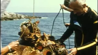 41 1978 В поисках Атлантиды  Часть II - Подводная одиссея команды Кусто
