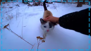 ОБЫЧНЫЙ ЗИМНИЙ ДЕНЬ В ДЕРЕВНЕ!