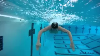 Butterfly Swimming Technique - How to swim butterfly