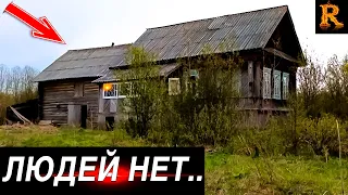 Заброшенная деревня в лесах Нижегородской области.