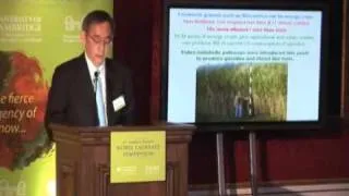 The Future of Biofuels