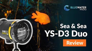 Sea & Sea YS-D3 Duo Underwater Strobe Review // Worth the Upgrade??