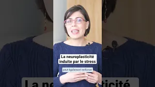 La neuroplasticité induite par le stress #shorts