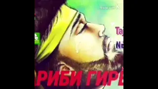 Барои бачои яфрак