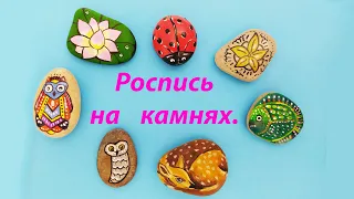 Как нарисовать на камнях красивые рисунки?