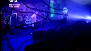 Rare blink-182 A Letter To Elise (Cure Cover) MTV Icon 2004